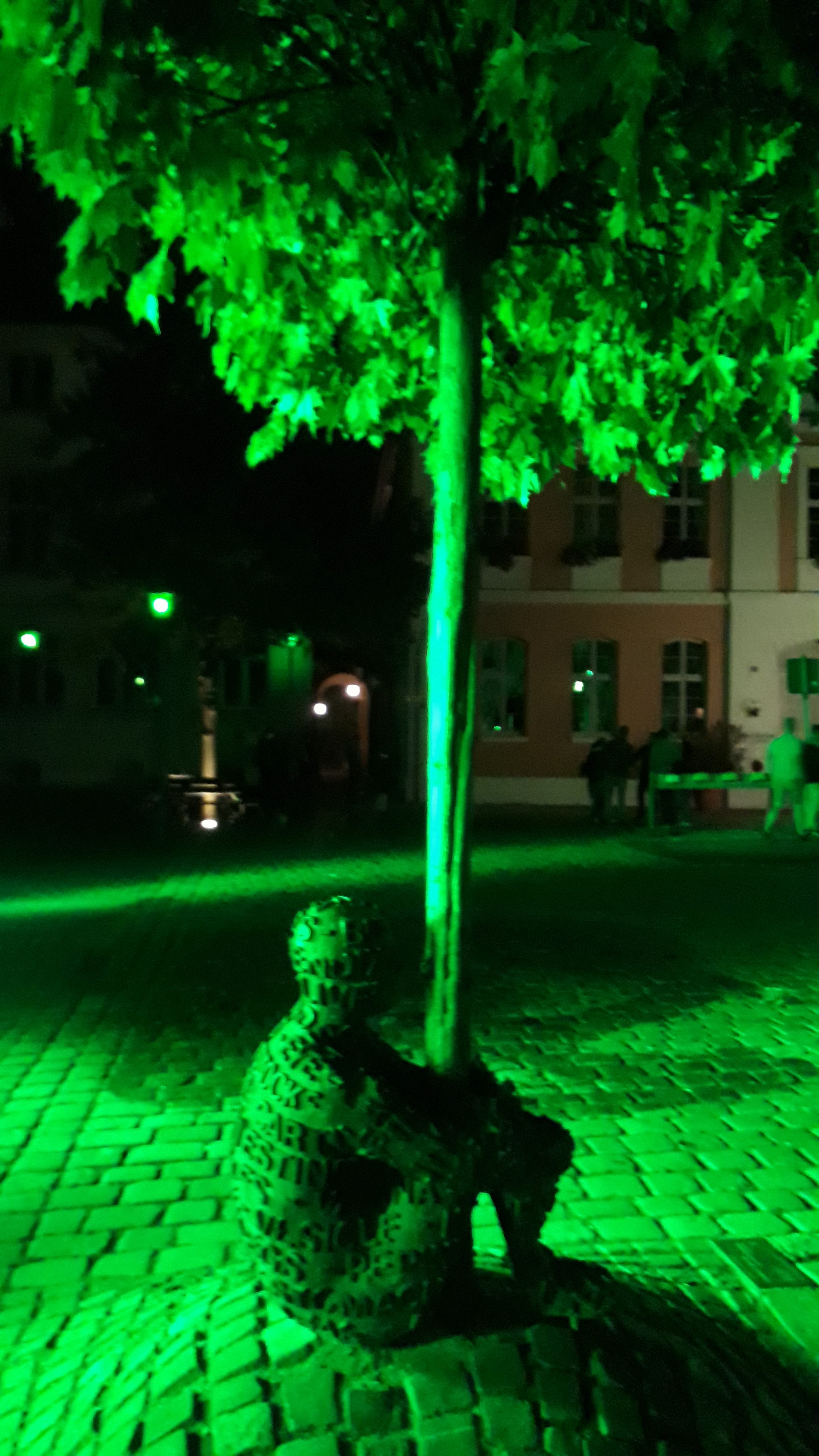 Grüne Nacht Ansbach Feuershow
